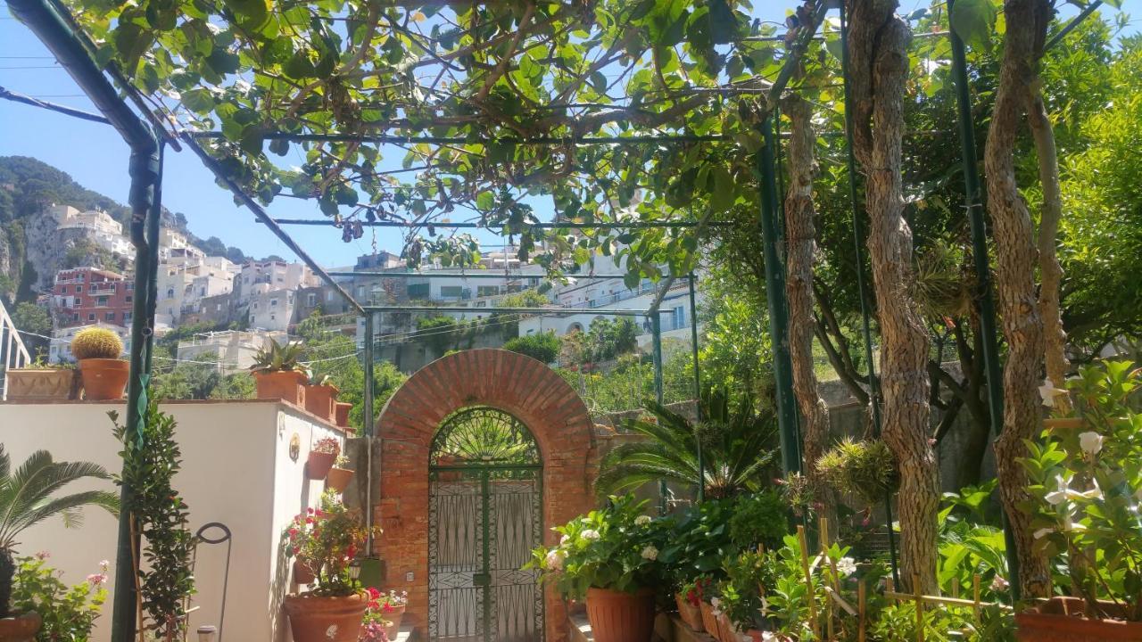 Villa Dei Fiori B&B กาปรี ภายนอก รูปภาพ
