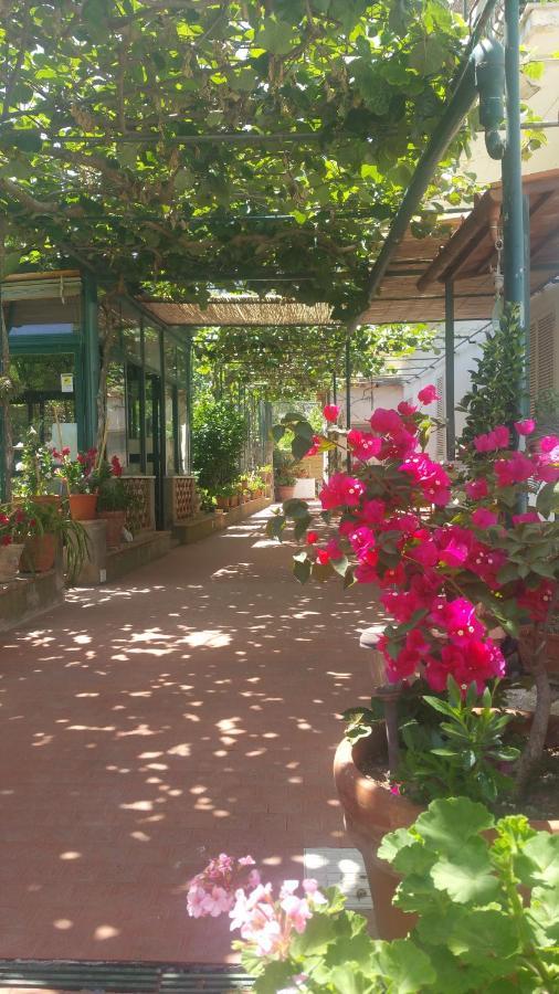 Villa Dei Fiori B&B กาปรี ภายนอก รูปภาพ