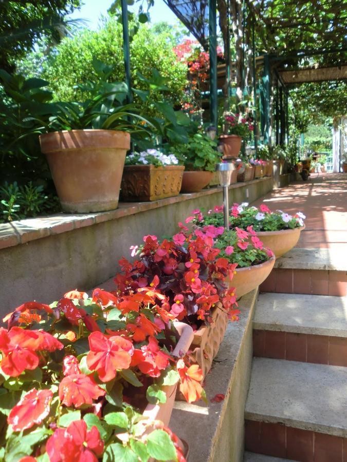 Villa Dei Fiori B&B กาปรี ภายนอก รูปภาพ
