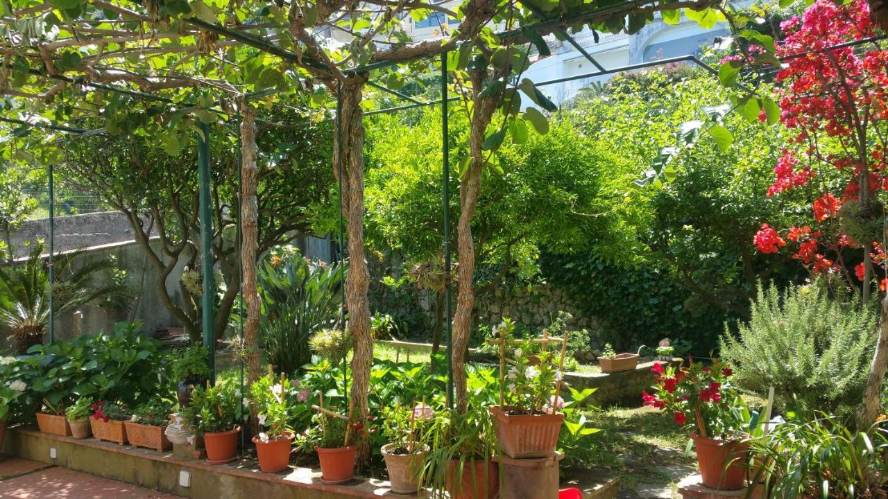 Villa Dei Fiori B&B กาปรี ภายนอก รูปภาพ