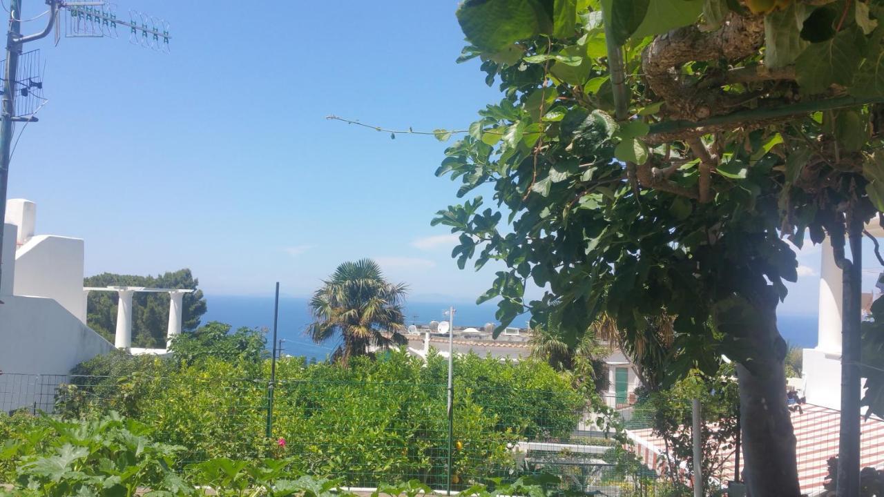 Villa Dei Fiori B&B กาปรี ภายนอก รูปภาพ