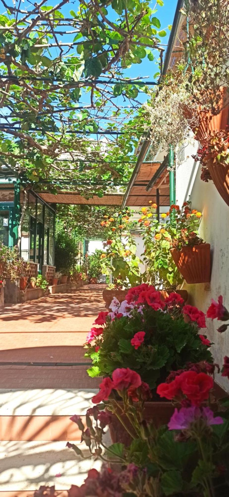 Villa Dei Fiori B&B กาปรี ภายนอก รูปภาพ