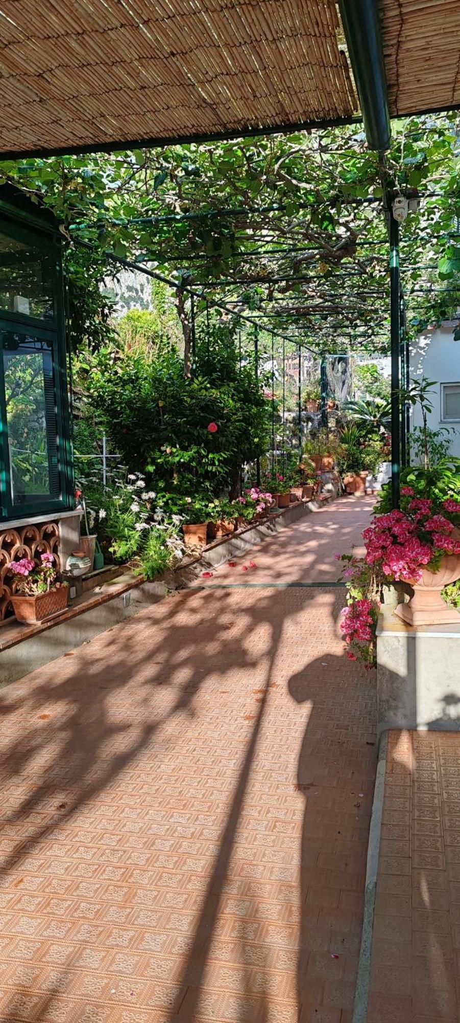 Villa Dei Fiori B&B กาปรี ภายนอก รูปภาพ