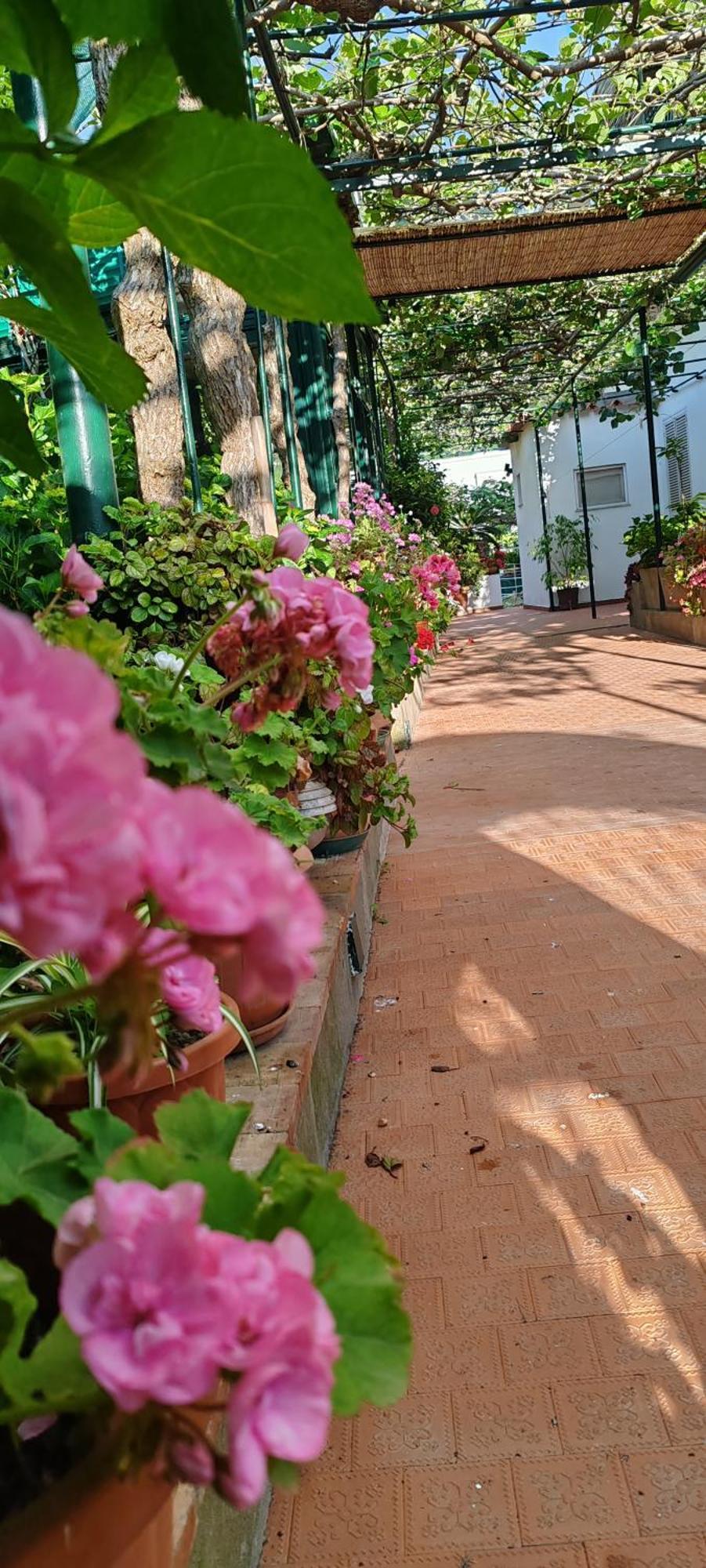 Villa Dei Fiori B&B กาปรี ภายนอก รูปภาพ
